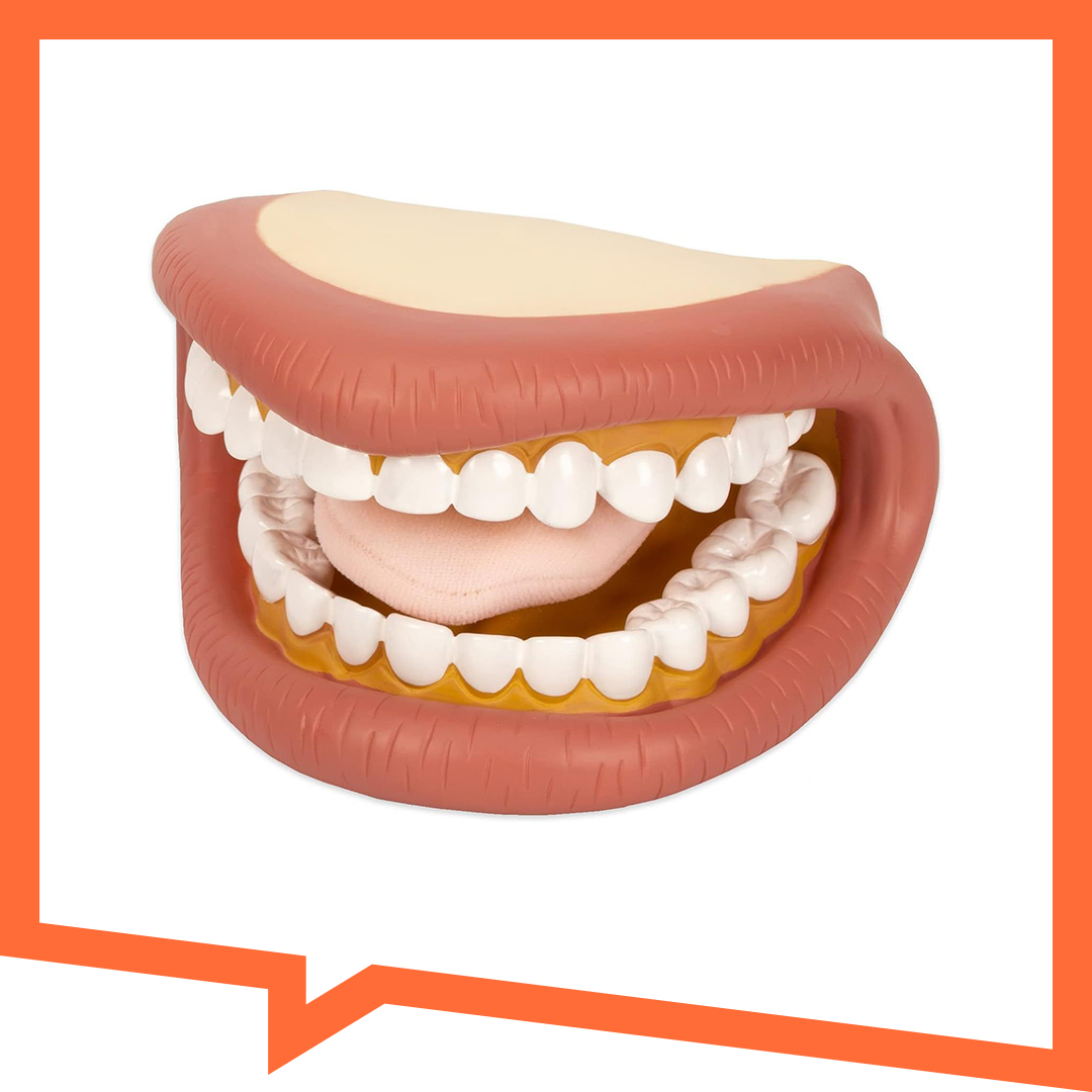 Büyük Oral-Motor Ağız Maketi