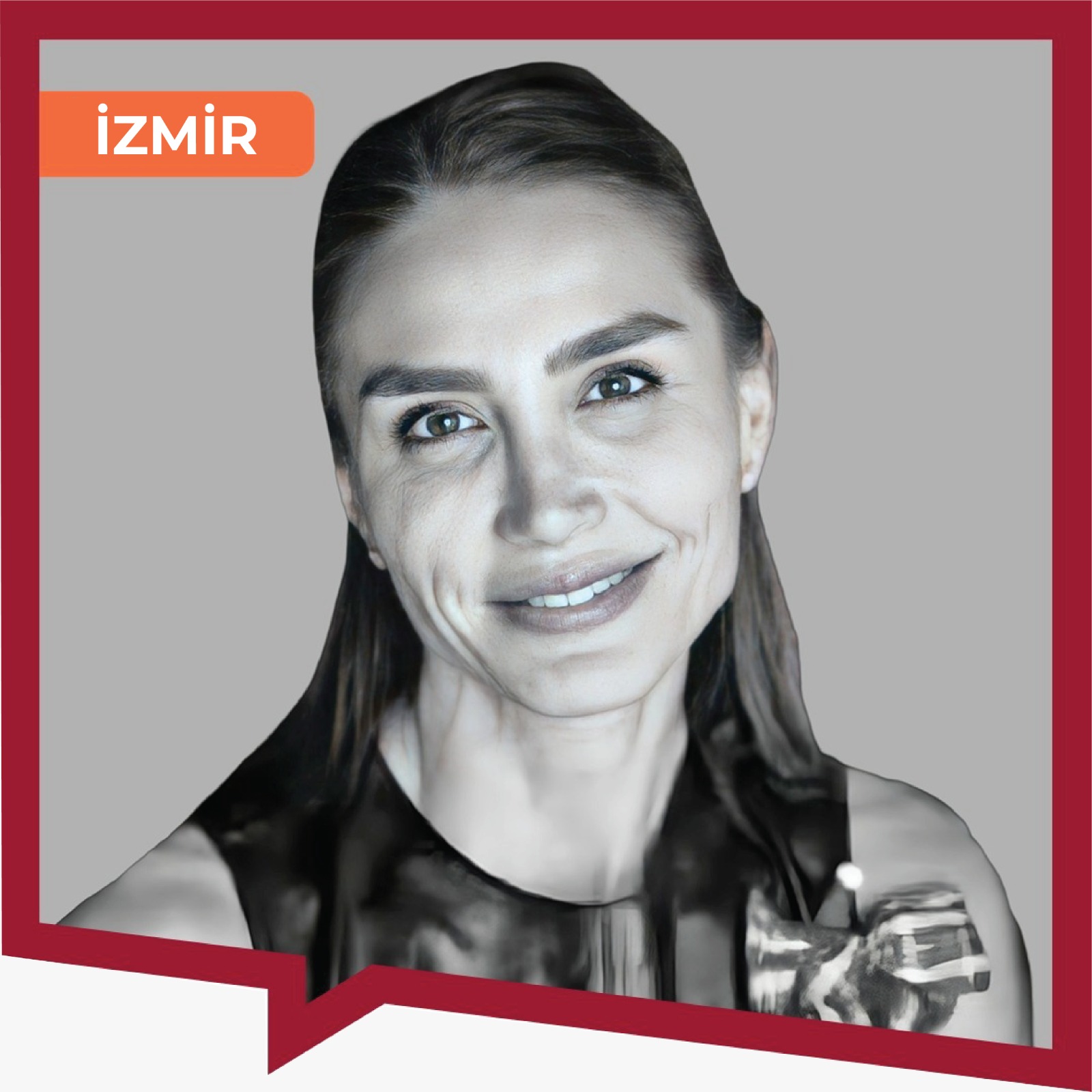 DIR 101 DIR Modeli ve DIRFloortime Programına Giriş – Başlangıç Düzeyi Kursu