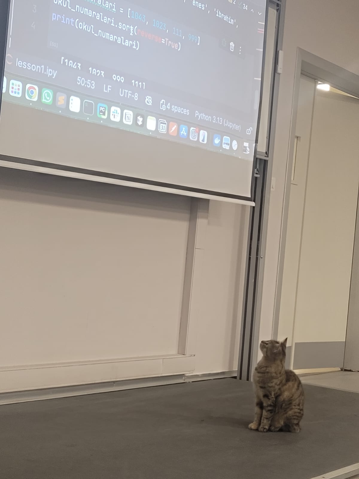 Lidcombe Erken Dönem Kekemelik Sertifika Programı