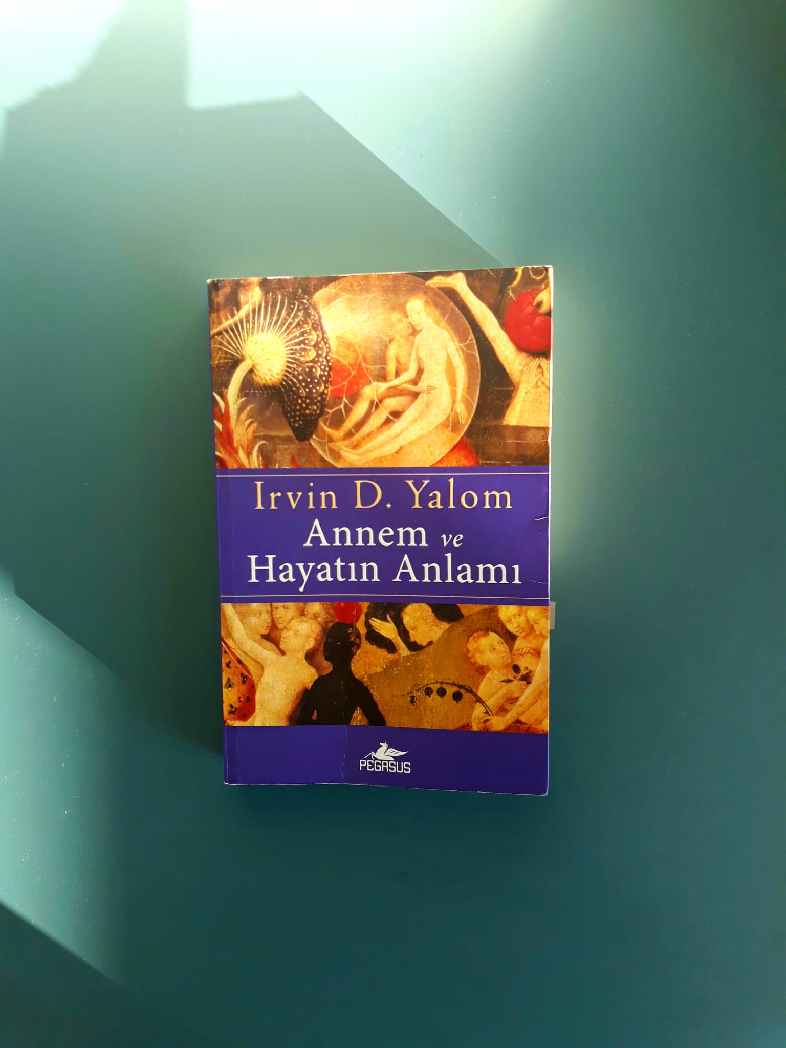 Annem ve Hayatın Anlamı : Irvin D. Yalom Seçmeleri 4
