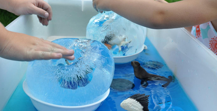 Duyusal mı Yoksa Davranışsal mı?