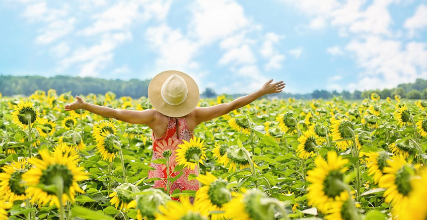 Psikolojik Testler Nedir ve Nasıl Kullanılırlar?