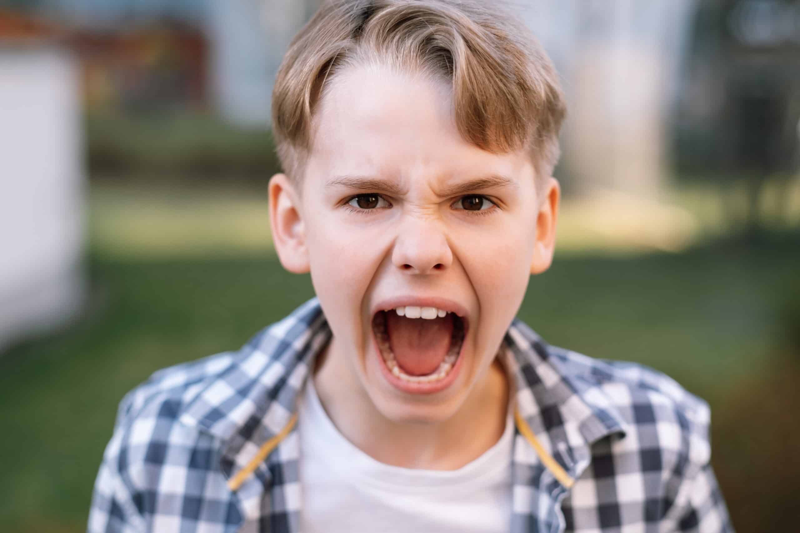 Sorunlu Gençlerin Öfkeyle Başa Çıkmalarında Ebeveyn Faktörü